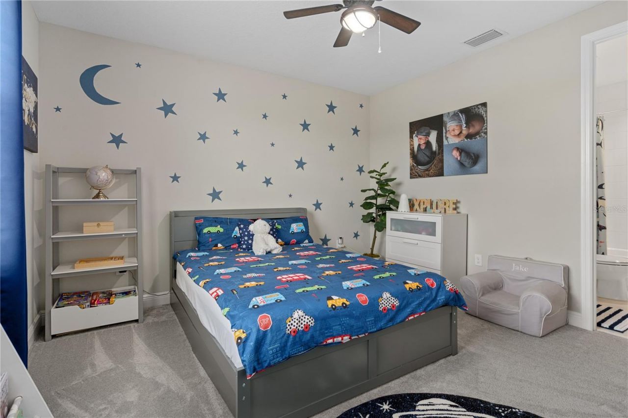 30351 Tristania Court, Wesley Chapel, FL 33543 Photo