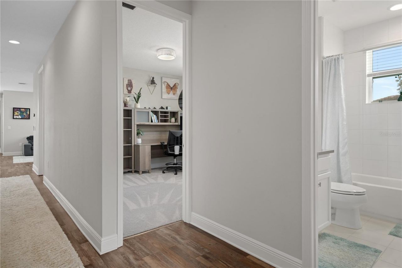 30351 Tristania Court, Wesley Chapel, FL 33543 Photo