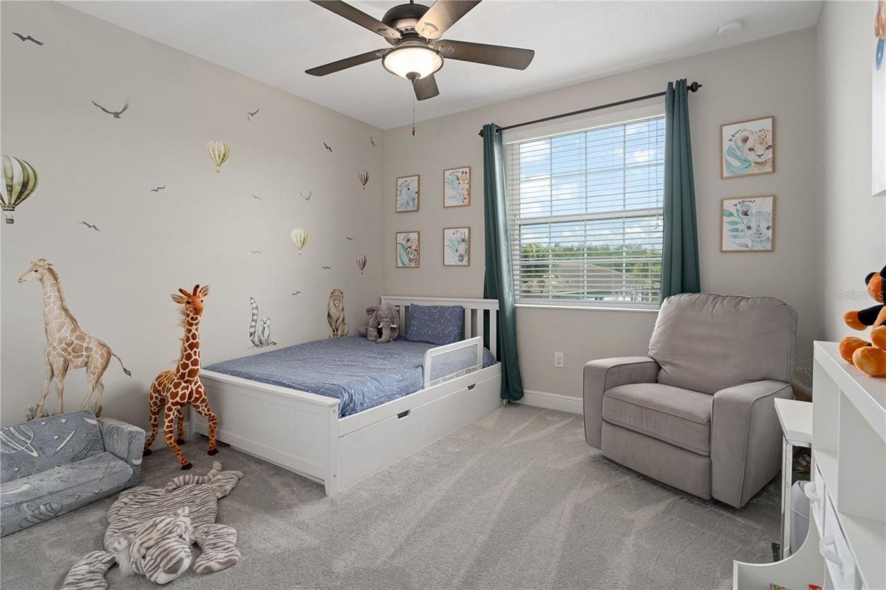 30351 Tristania Court, Wesley Chapel, FL 33543 Photo