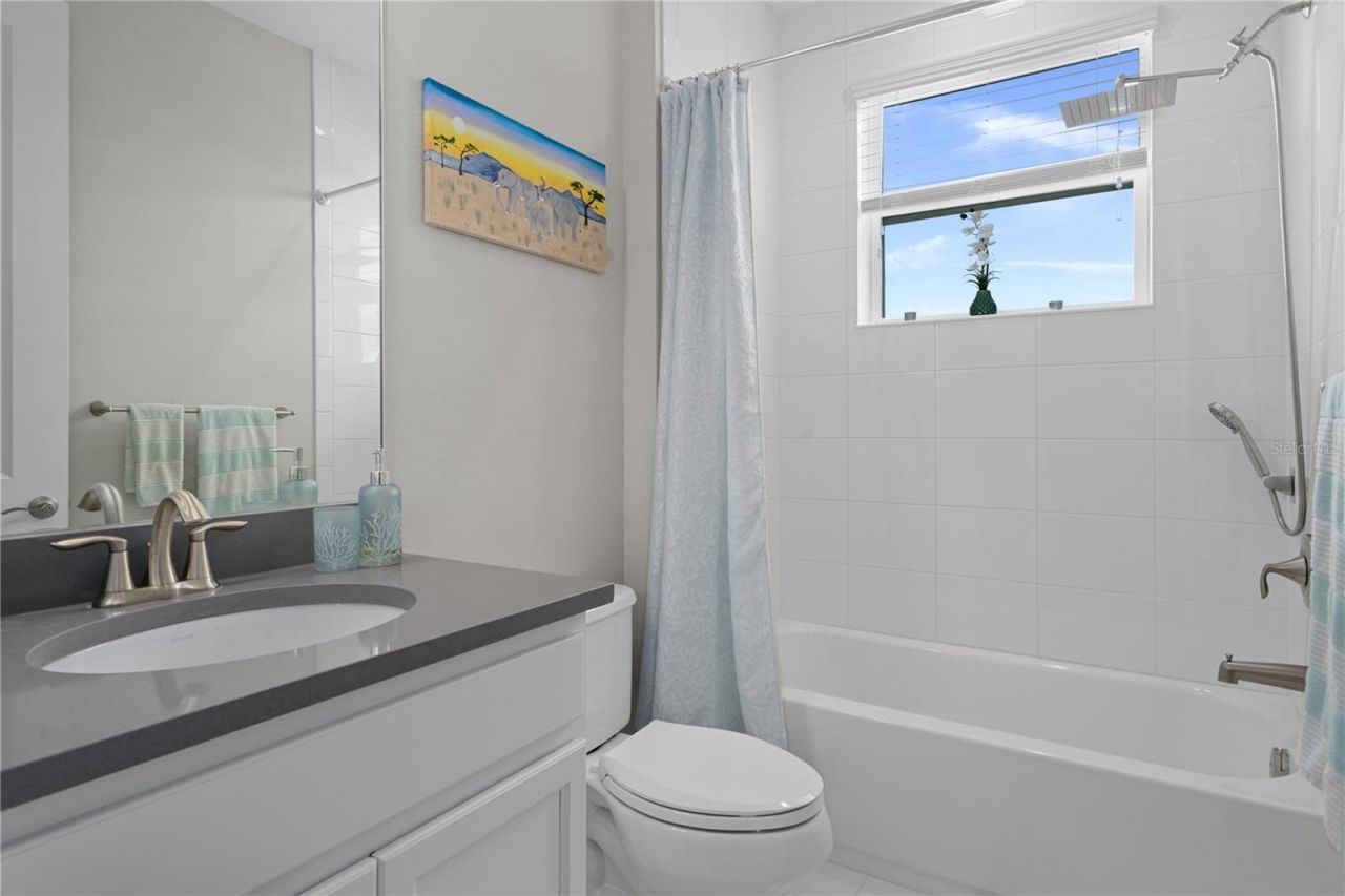 30351 Tristania Court, Wesley Chapel, FL 33543 Photo