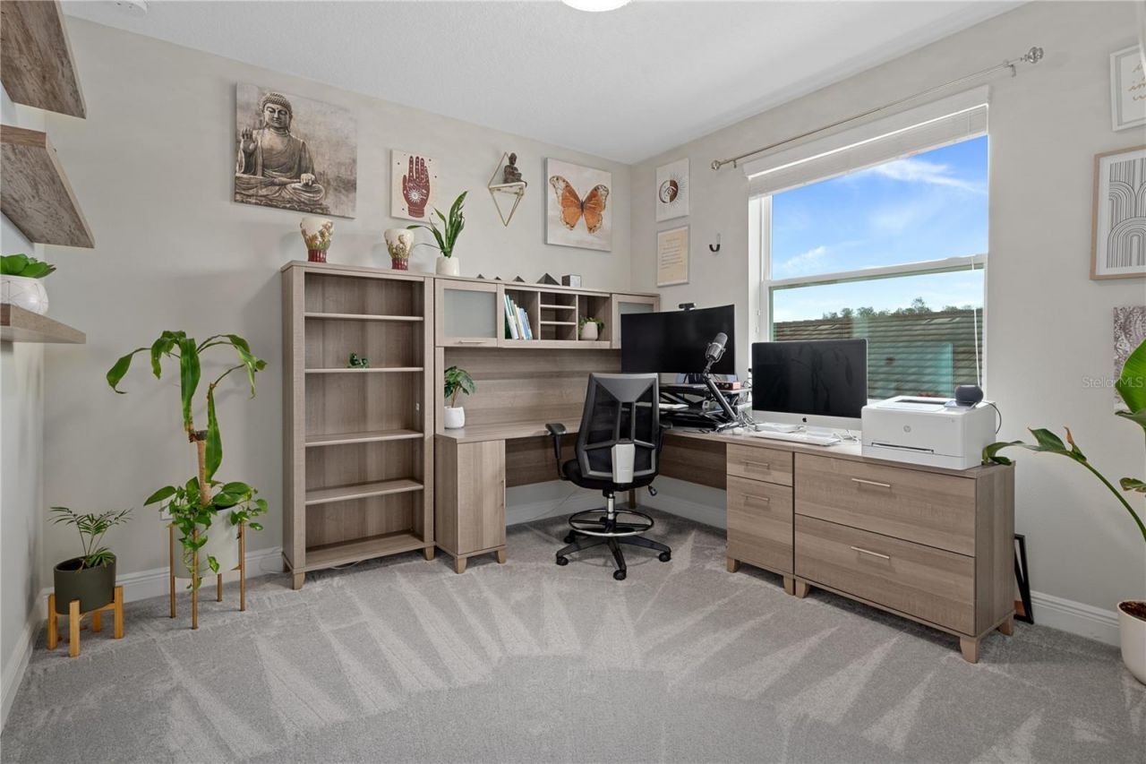 30351 Tristania Court, Wesley Chapel, FL 33543 Photo