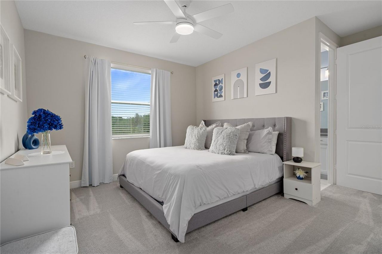 30351 Tristania Court, Wesley Chapel, FL 33543 Photo