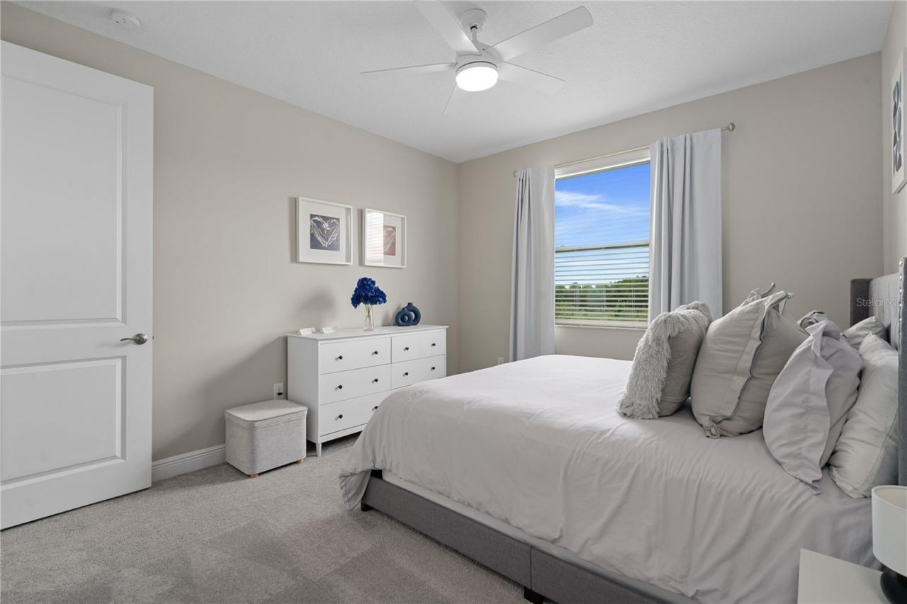 30351 Tristania Court, Wesley Chapel, FL 33543 Photo