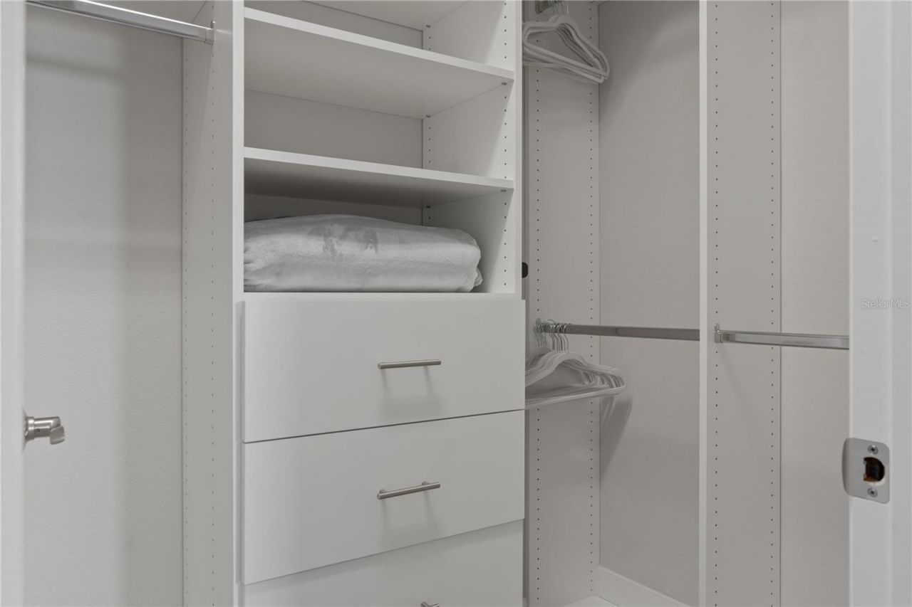 30351 Tristania Court, Wesley Chapel, FL 33543 Photo