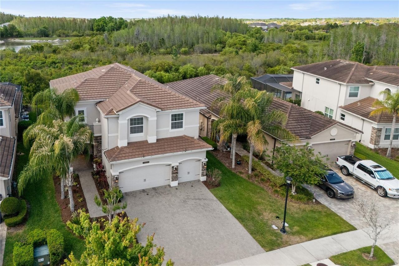 30351 Tristania Court, Wesley Chapel, FL 33543 Photo