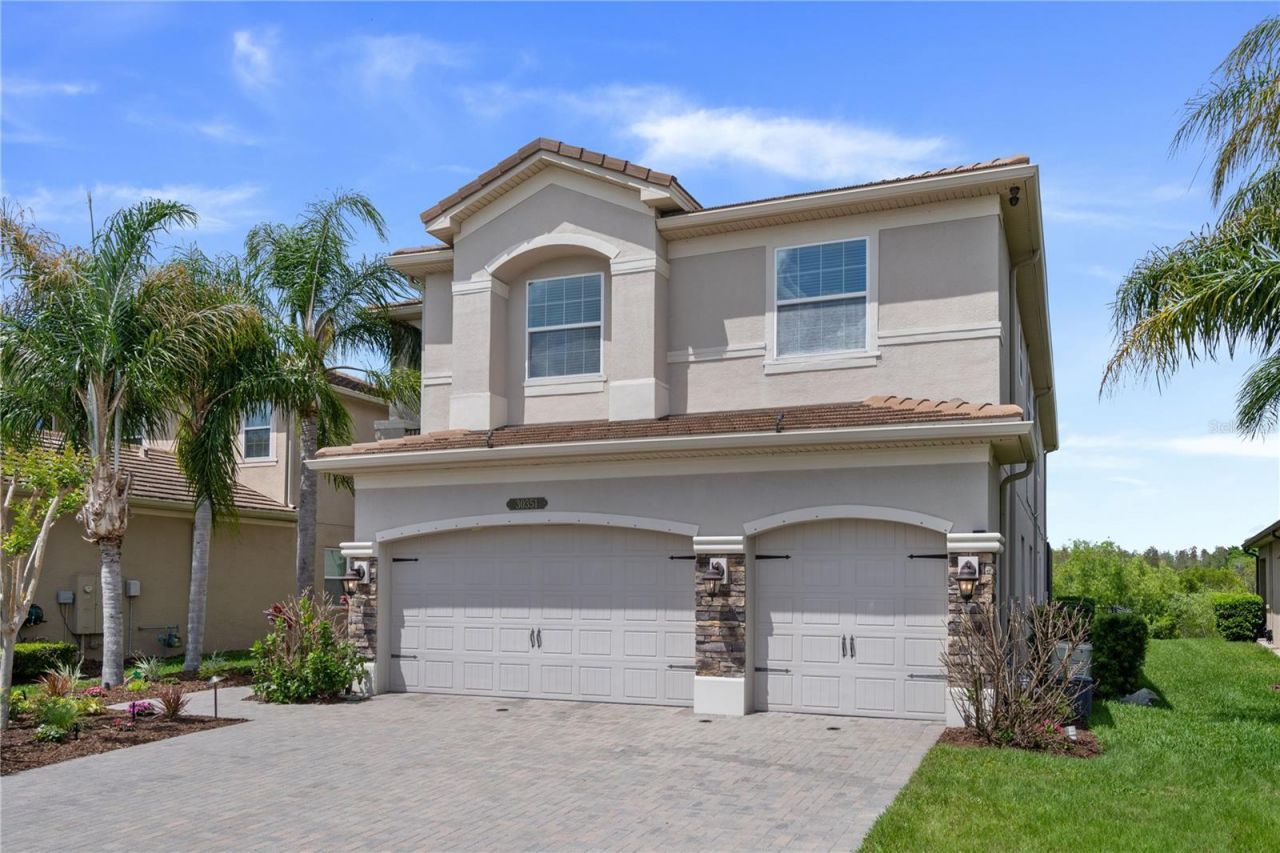 30351 Tristania Court, Wesley Chapel, FL 33543 Photo