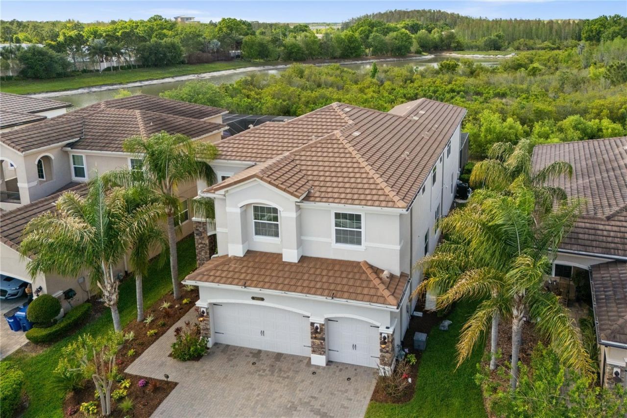 30351 Tristania Court, Wesley Chapel, FL 33543 Photo