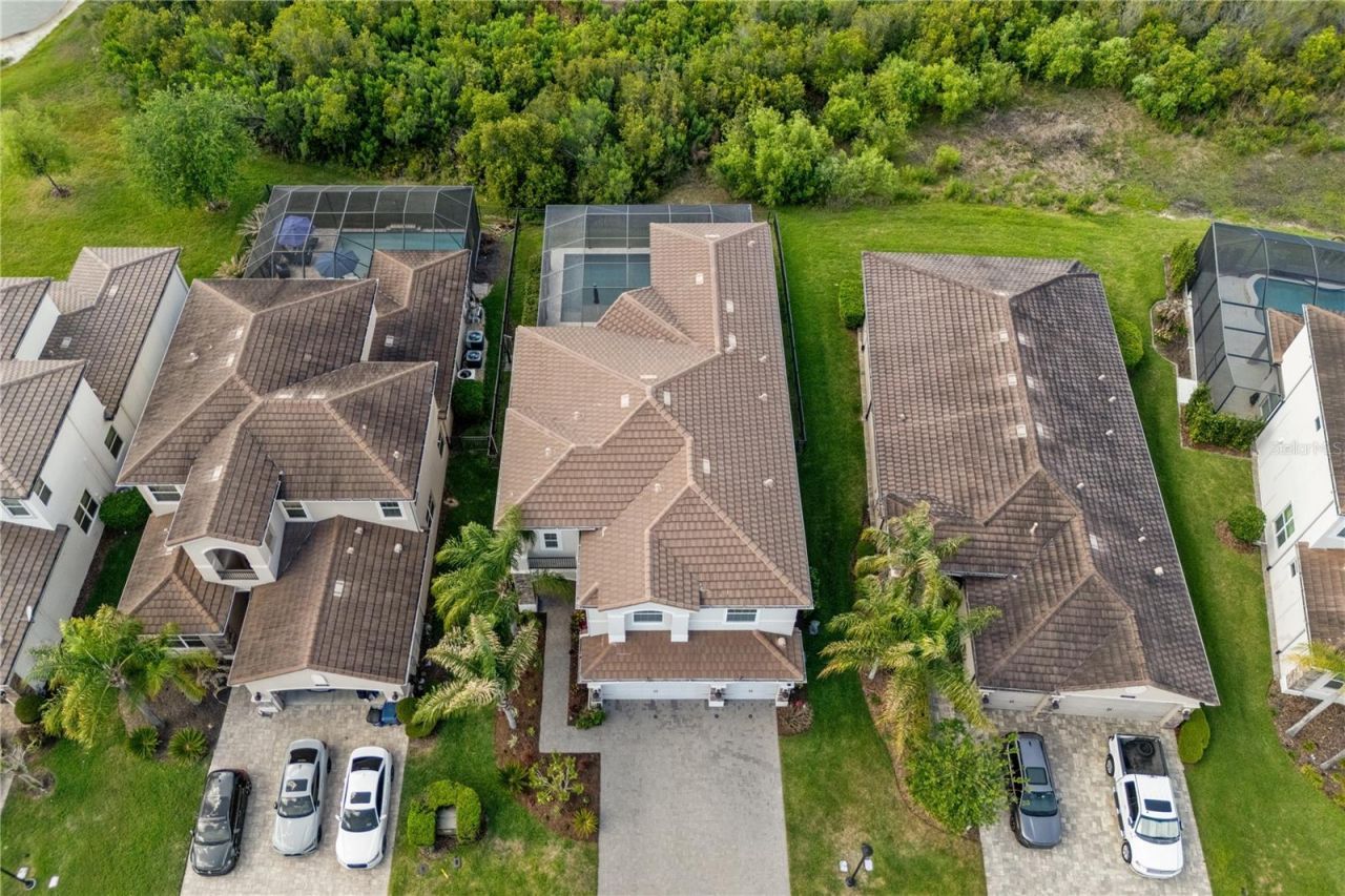 30351 Tristania Court, Wesley Chapel, FL 33543 Photo