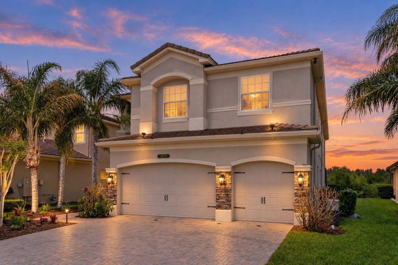 30351 Tristania Court, Wesley Chapel, FL 33543 Photo
