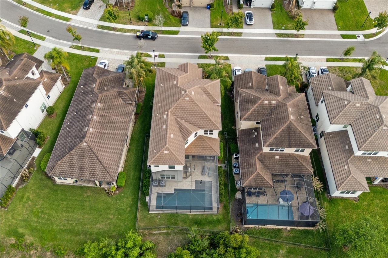 30351 Tristania Court, Wesley Chapel, FL 33543 Photo