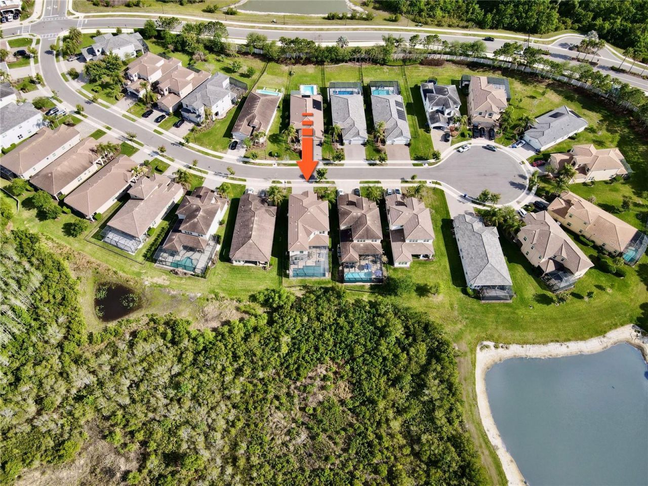 30351 Tristania Court, Wesley Chapel, FL 33543 Photo