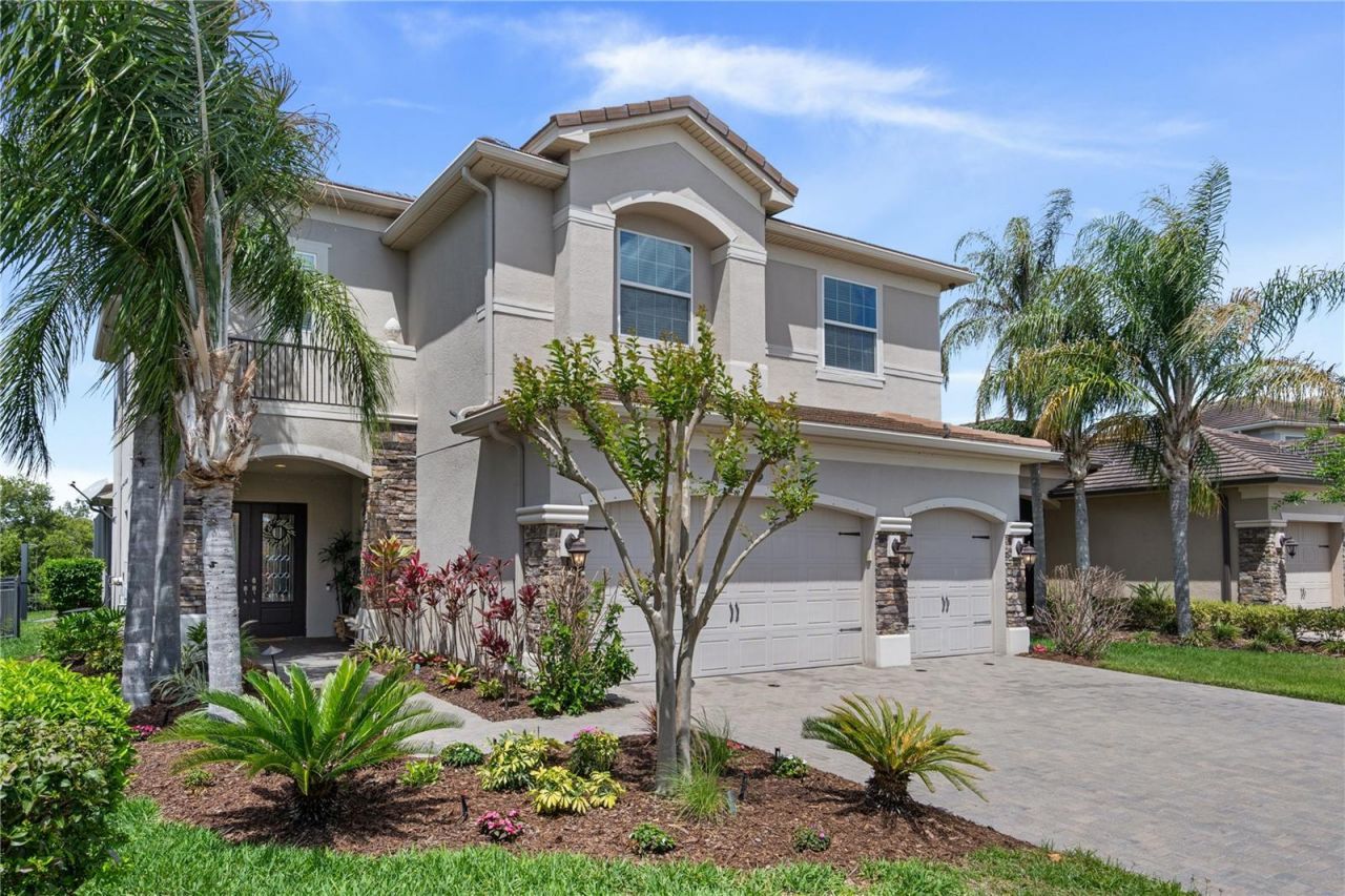 30351 Tristania Court, Wesley Chapel, FL 33543 Photo