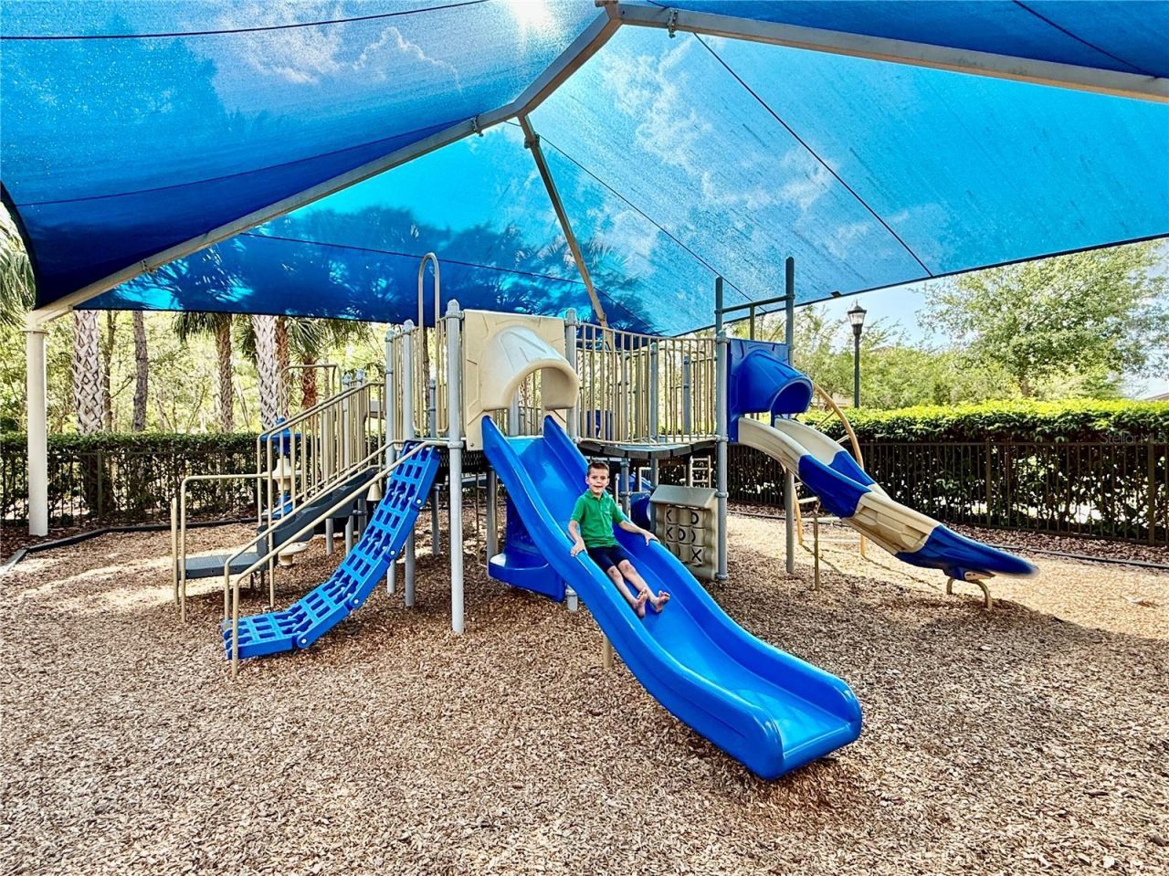 30351 Tristania Court, Wesley Chapel, FL 33543 Photo