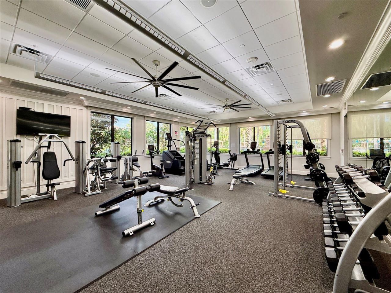 30351 Tristania Court, Wesley Chapel, FL 33543 Photo