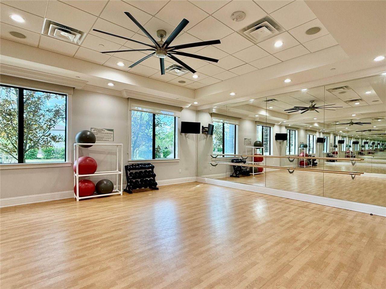 30351 Tristania Court, Wesley Chapel, FL 33543 Photo