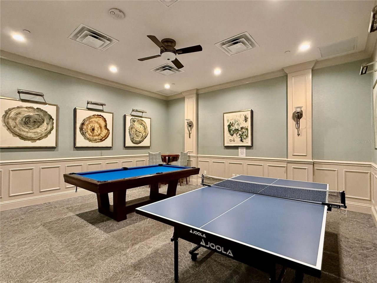 30351 Tristania Court, Wesley Chapel, FL 33543 Photo