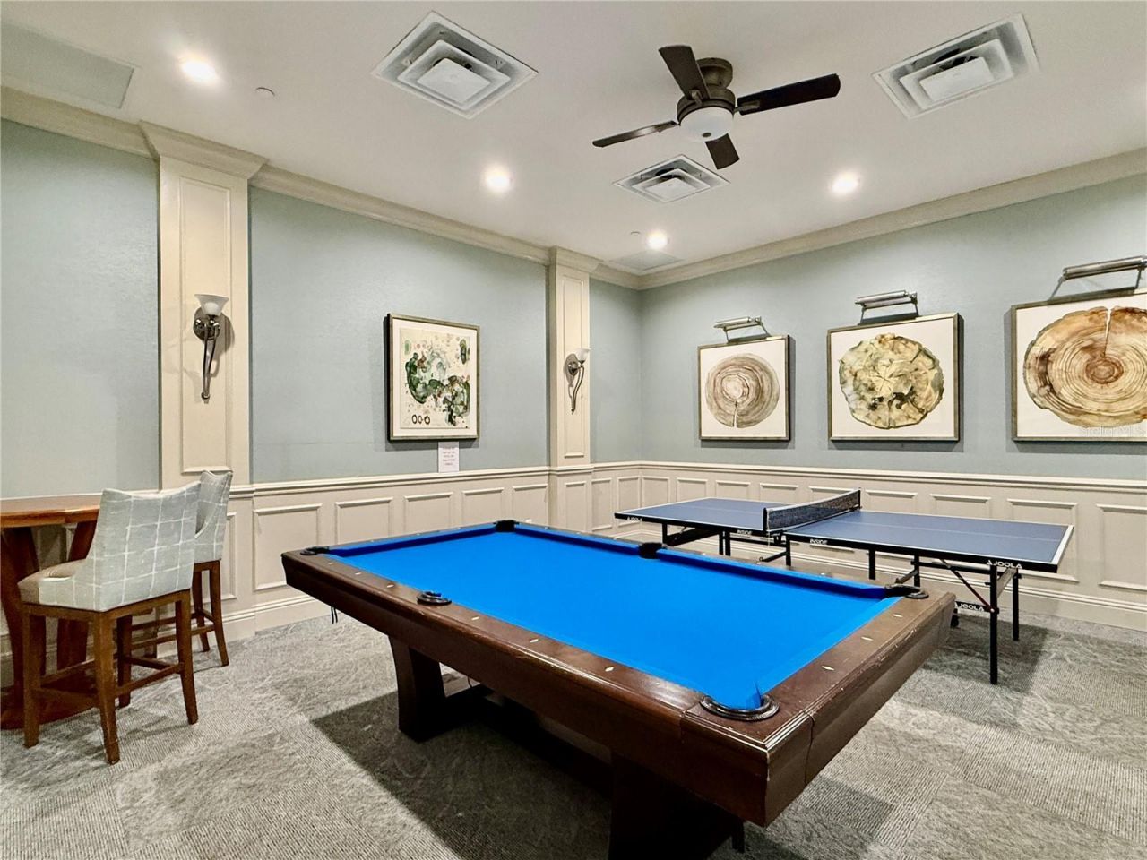 30351 Tristania Court, Wesley Chapel, FL 33543 Photo