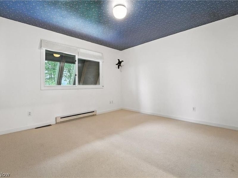 263 E Pine Lake Road, North Lima, OH 44452 Photo 34