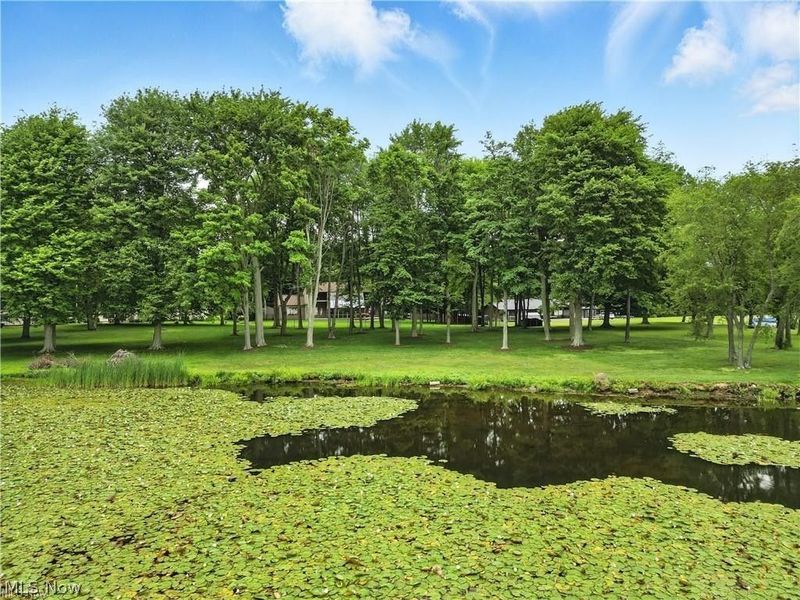 263 E Pine Lake Road, North Lima, OH 44452 Photo 47