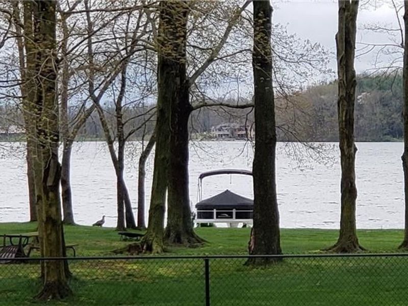 263 E Pine Lake Road, North Lima, OH 44452 Photo 49