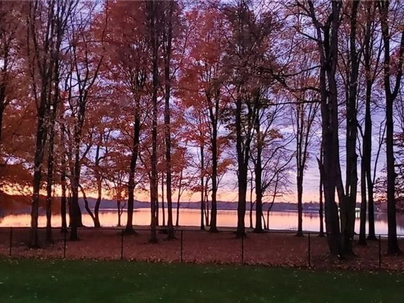 263 E Pine Lake Road, North Lima, OH 44452 Photo 50