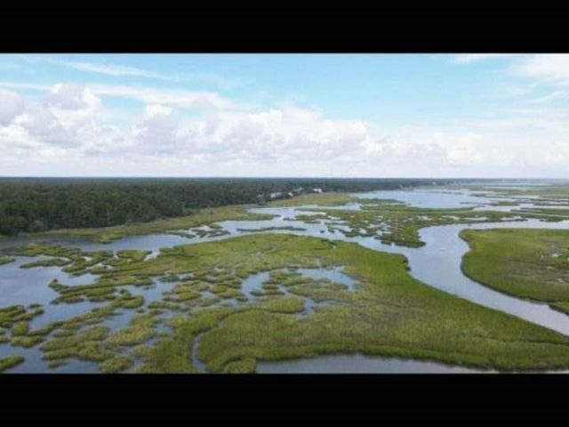 122 Caroline Ct. Photo 47