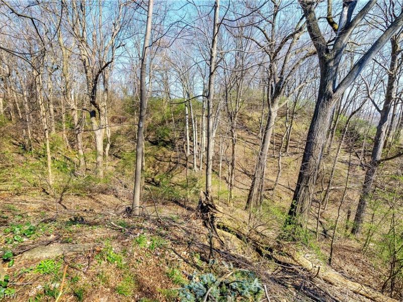 924 E Schaaf Road, Brooklyn Heights, OH 44131 Photo 32