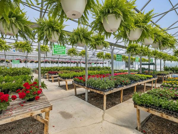 2461 Bodenham Rd, Pulaski, TN 38478