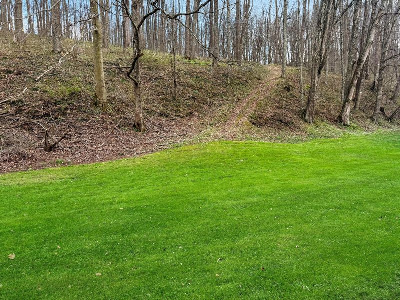 61558 Siverly Creek Road, McArthur, OH 45651 Photo 7