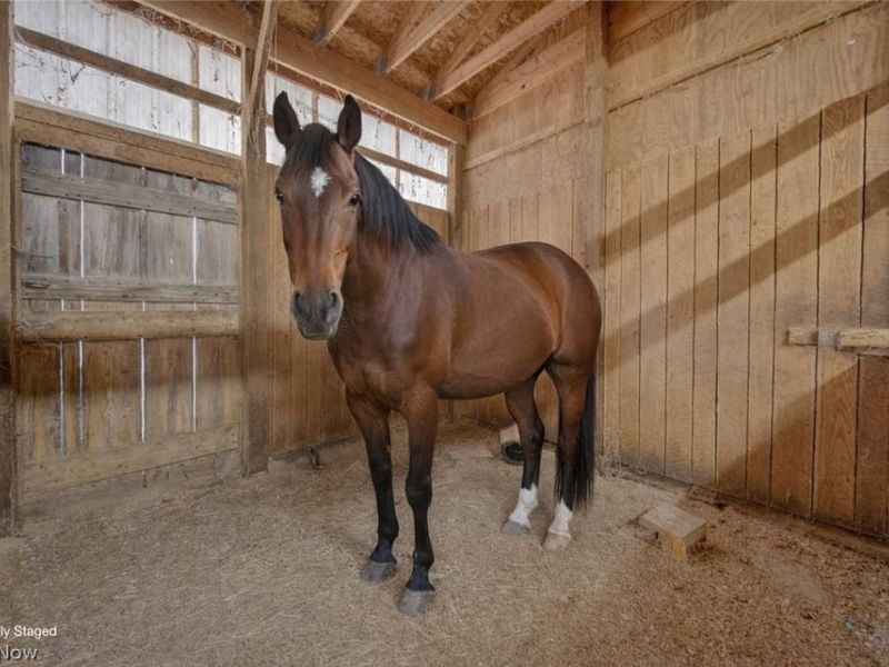 8511 Kennard Road, Lodi, OH 44254 Photo 42