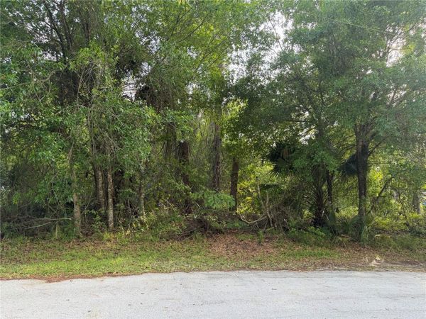 11 PATRICK PLACE , PALM COAST, FL 32164