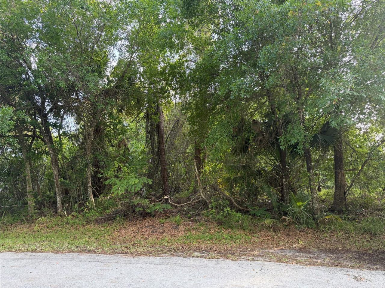 11 Patrick Place, Palm Coast, FL 32164 Photo