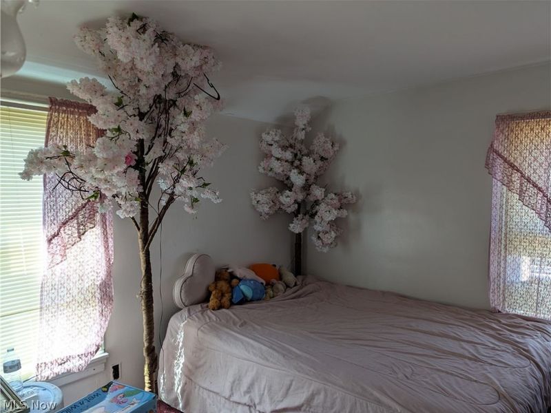 1490 E 250th Street, Euclid, OH 44117 Photo 9