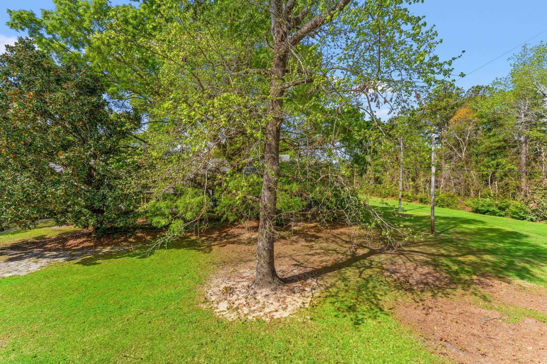 10301 N Kings Hwy. Photo 23