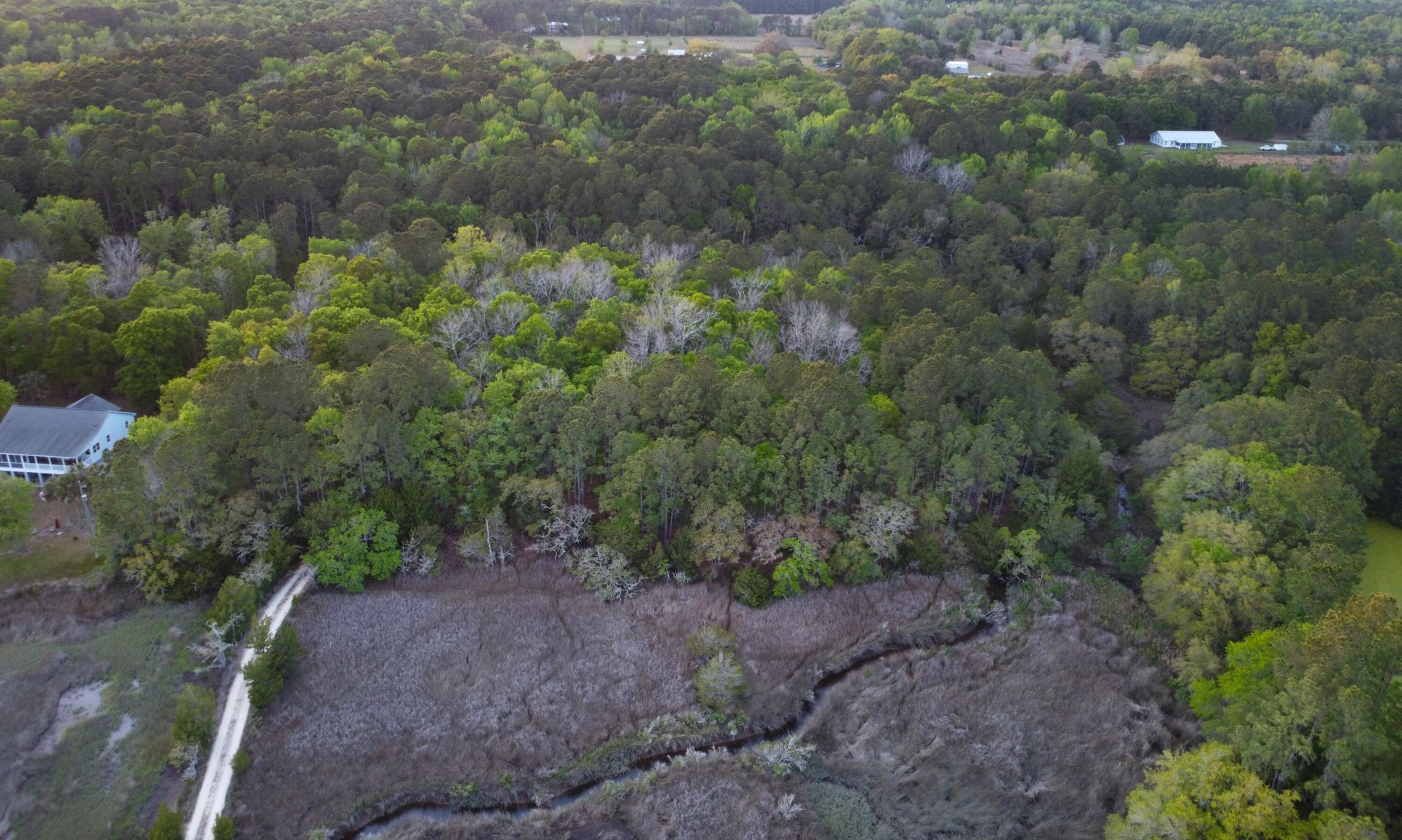 3733 N Highway 17 Highway Photo 10