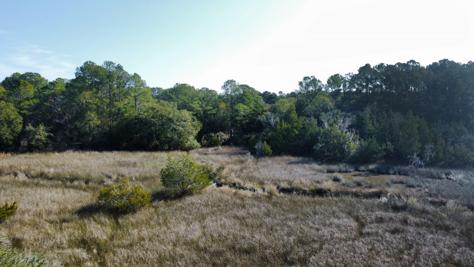 3733 N Highway 17 Highway Photo 12