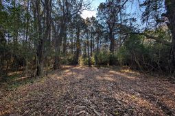 3733 N Highway 17 Highway photo 4