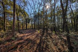 3733 N Highway 17 Highway photo 4