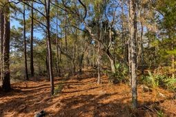 3733 N Highway 17 Highway photo 4