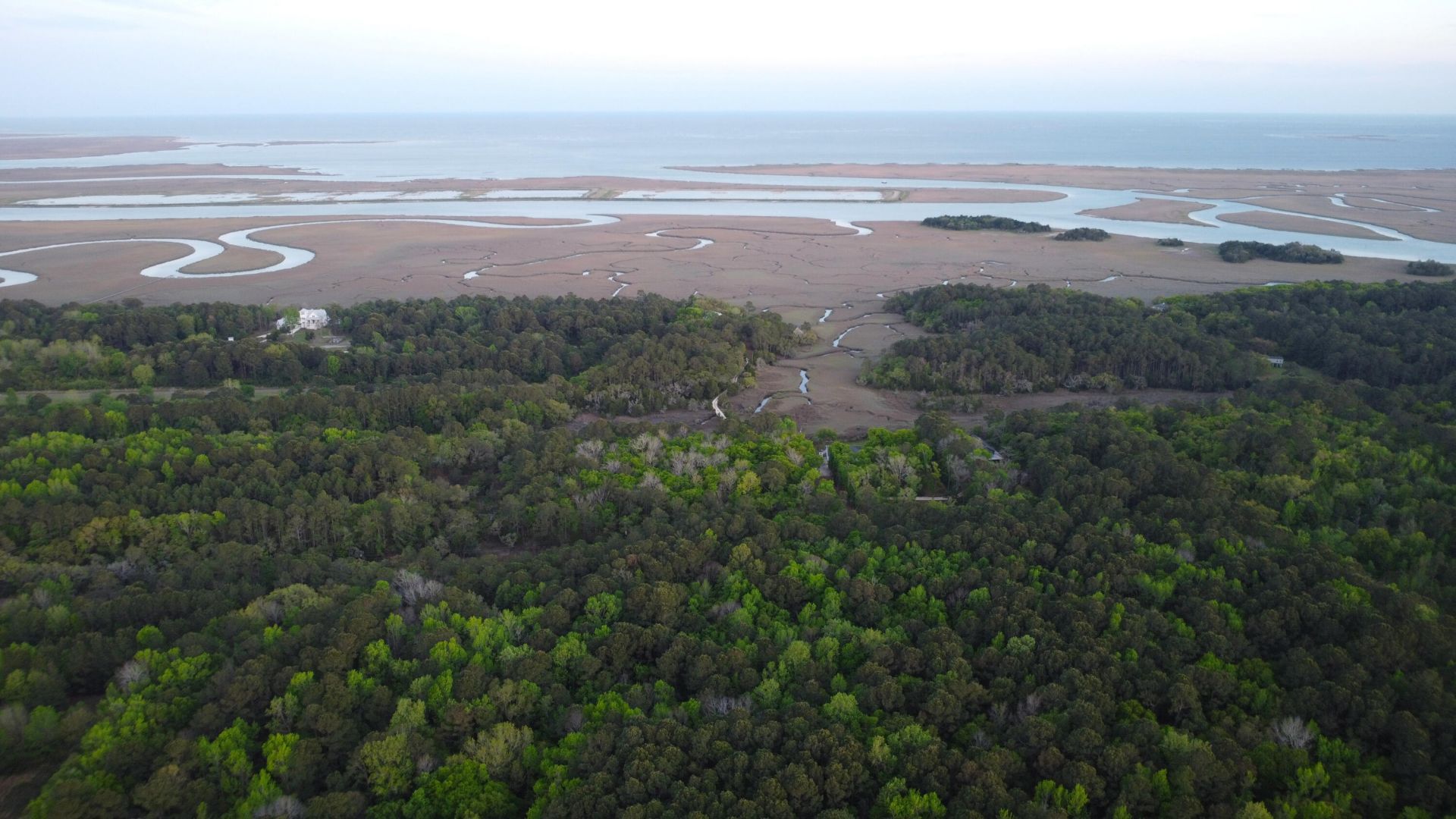 3733 N Highway 17 Highway Photo 7