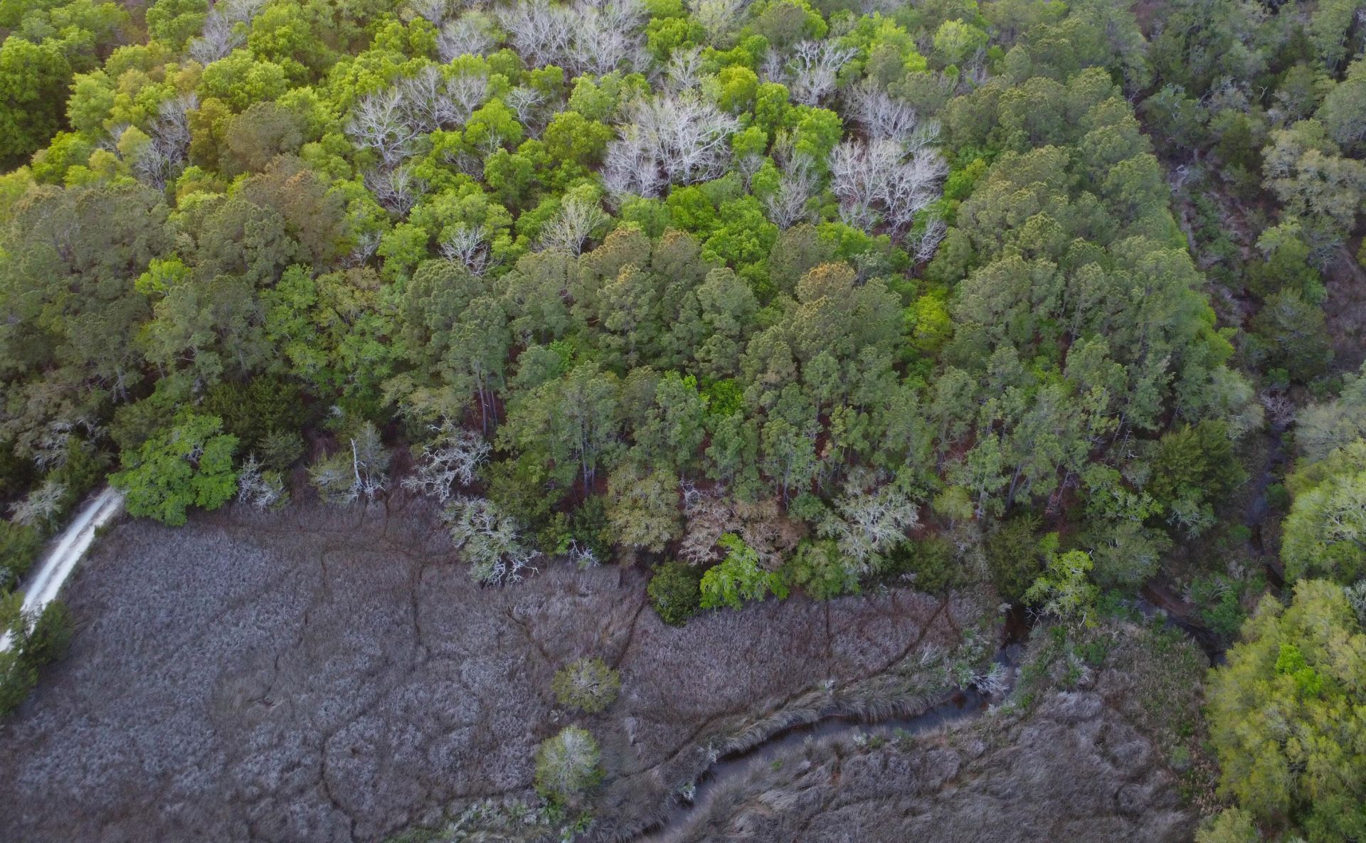 3733 N Highway 17 Highway Photo 9