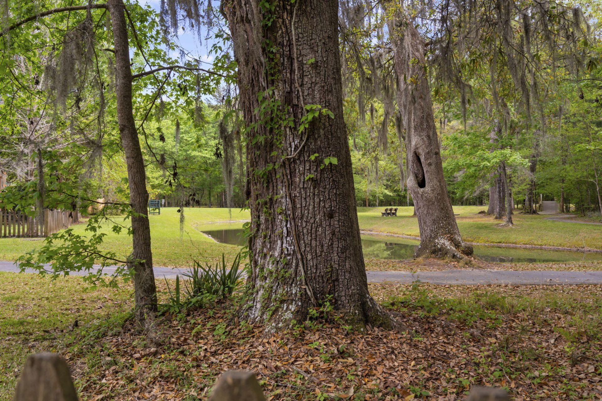 400 Chinquapin Drive Photo 38