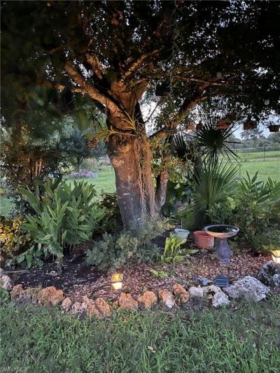 4665 47th Ave Ne, Naples, FL 34120 Photo