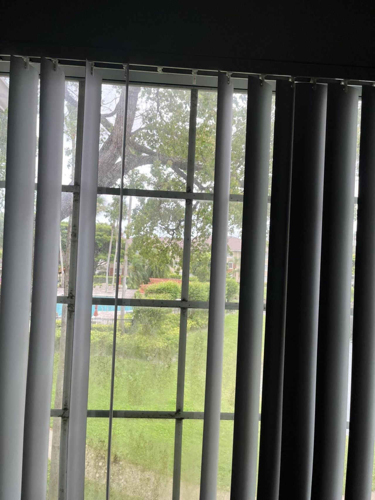 4191 N Haverhill Road, Unit 409, West Palm Beach, FL 33417 Photo