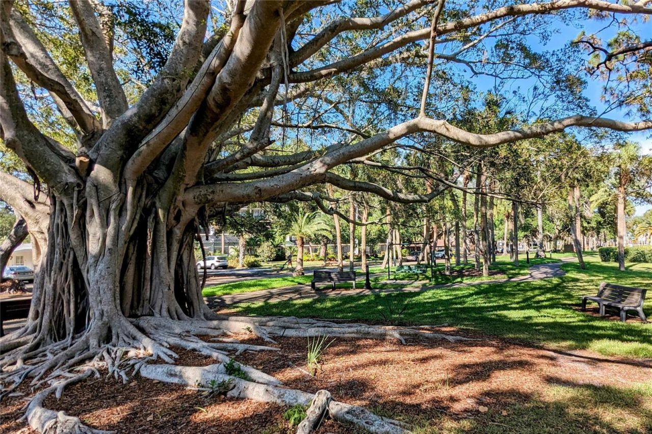 206 Vista Del Lago Way , Venice, FL 34292 Photo