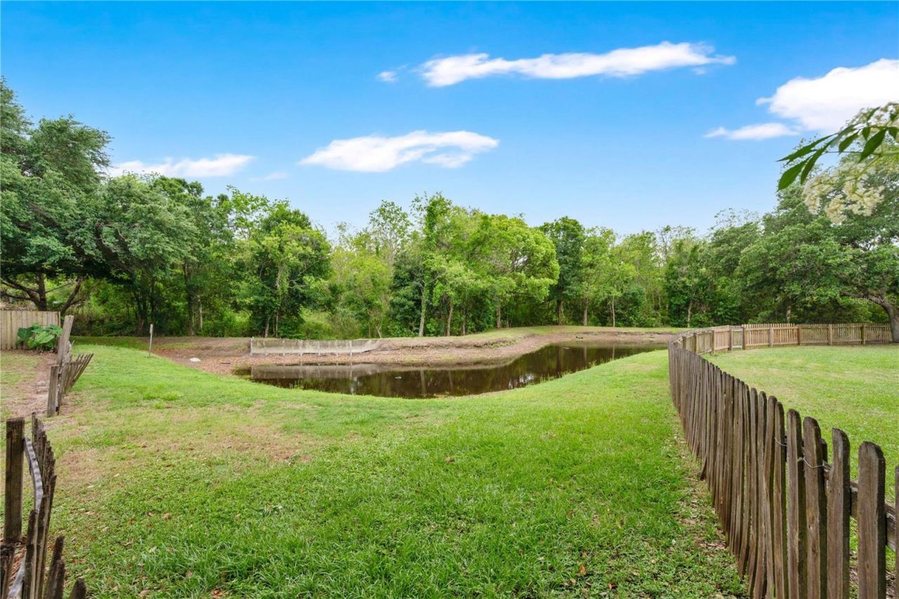 1461 Lake Shore Ranch Drive, Seffner, FL 33584 Photo