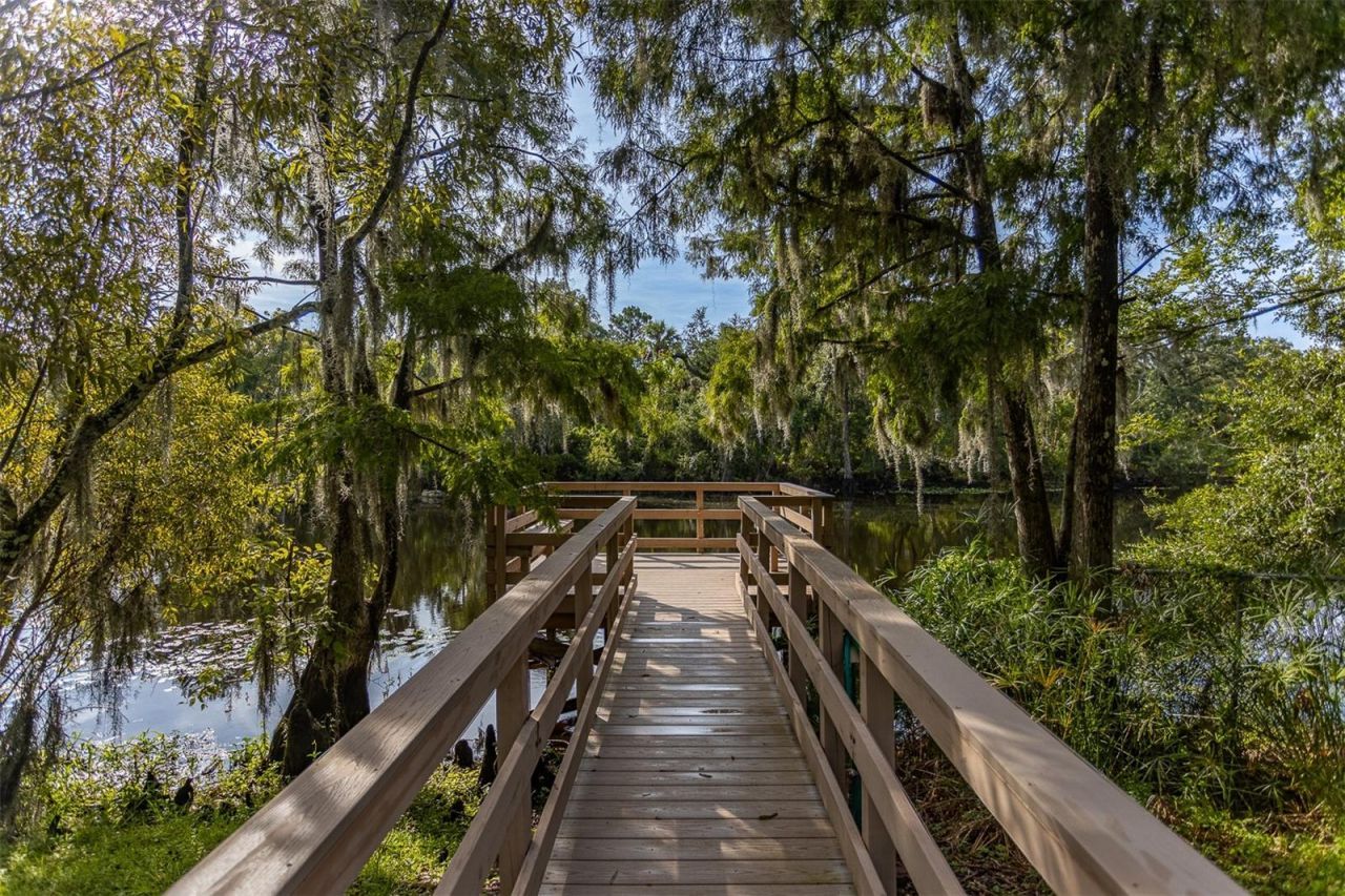 11508 Robles Del Rio Place, Temple Terrace, FL 33617 Photo