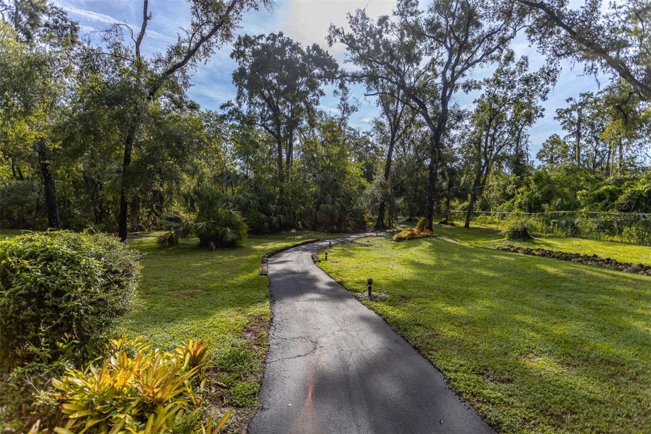 11508 Robles Del Rio Place, Temple Terrace, FL 33617 Photo