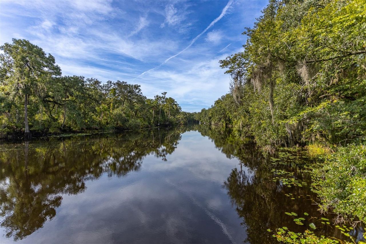 11508 Robles Del Rio Place, Temple Terrace, FL 33617 Photo