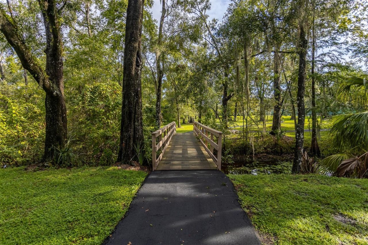 11508 Robles Del Rio Place, Temple Terrace, FL 33617 Photo